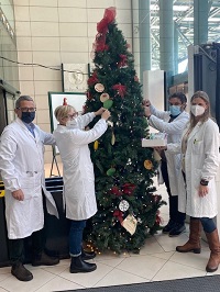 donazione avo evi albero natale
